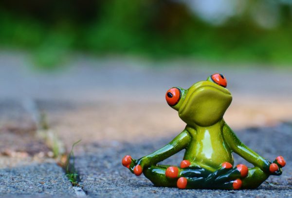 Entspannter-Frosch-600x408