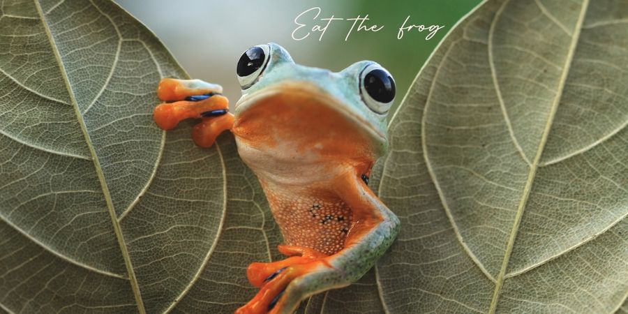 Iss den Frosch