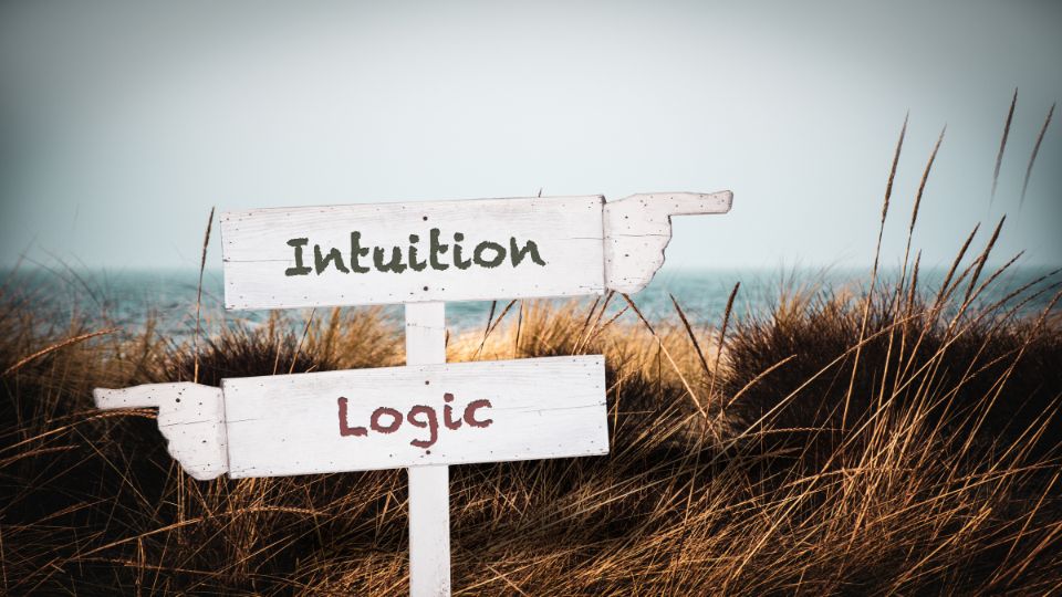 Intuition-vs-Logik Schild mit Aufschrift "Intuition" zeigt in eine andere Richtung wie das Schild mit Aufschrift "Logik"