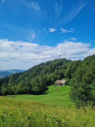 Ausblick auf Wiesen und Wälder mit Hütte und strahlend blauem Himmel