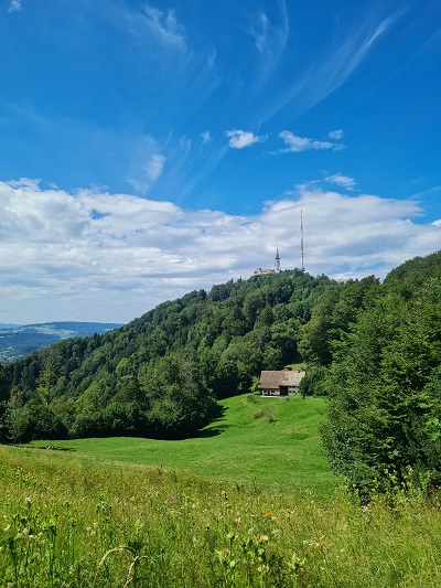 Julia Czarnetzki_Urlaub für deine Sinne Ausblick auf Wiesen und Wälder mit Hütte und strahlend blauem Himmel